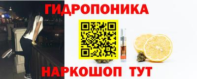 молекула духа Дубна