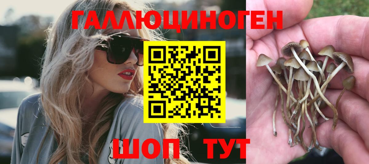 Псилоцибиновые грибы MAGIC MUSHROOMS Псков