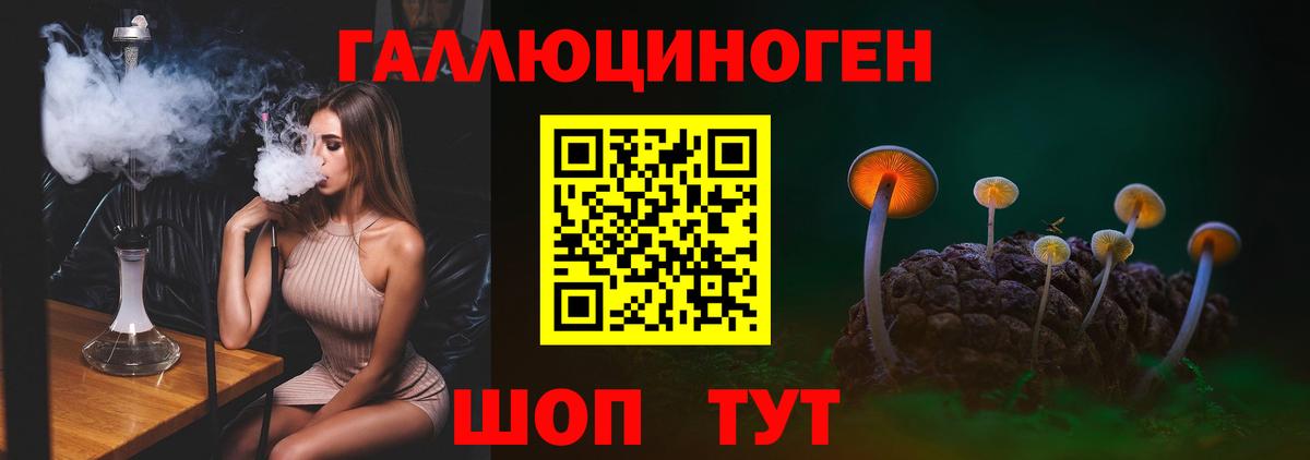 Псков  Псилоцибиновые грибы ЛСД  Псилоцибиновые грибы MAGIC MUSHROOMS  купить наркотики сайты  Вход с VPN 